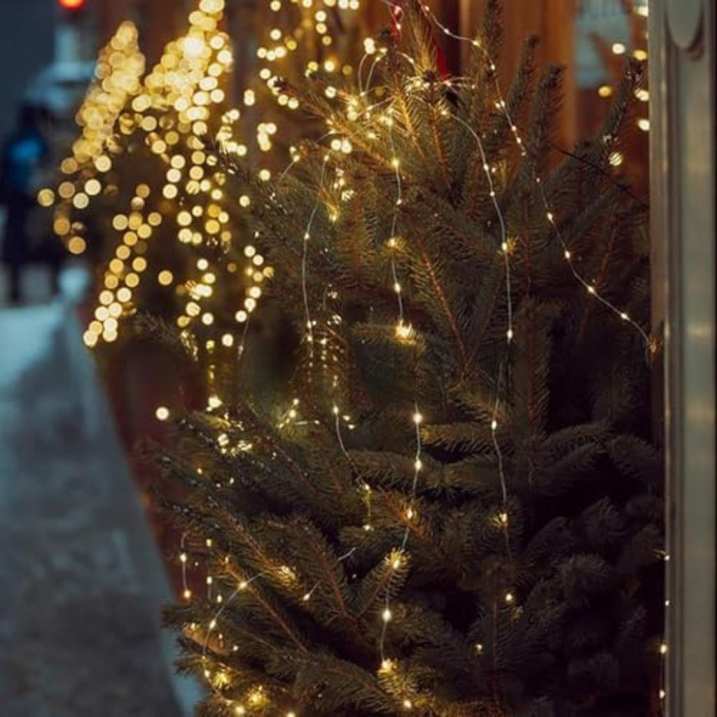 Astrohuge Copper Wire Fairy Lights (Extra-Long Twinkle String)